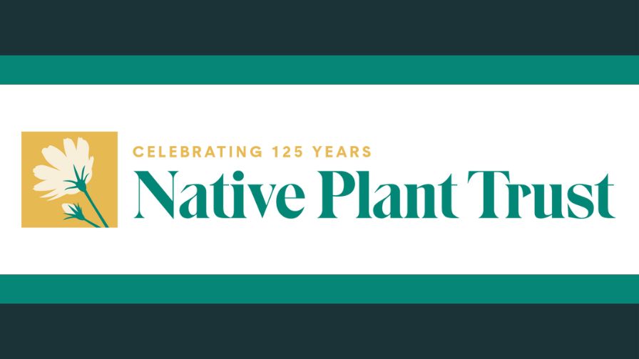 Native Plant Trust 125 Years logo.