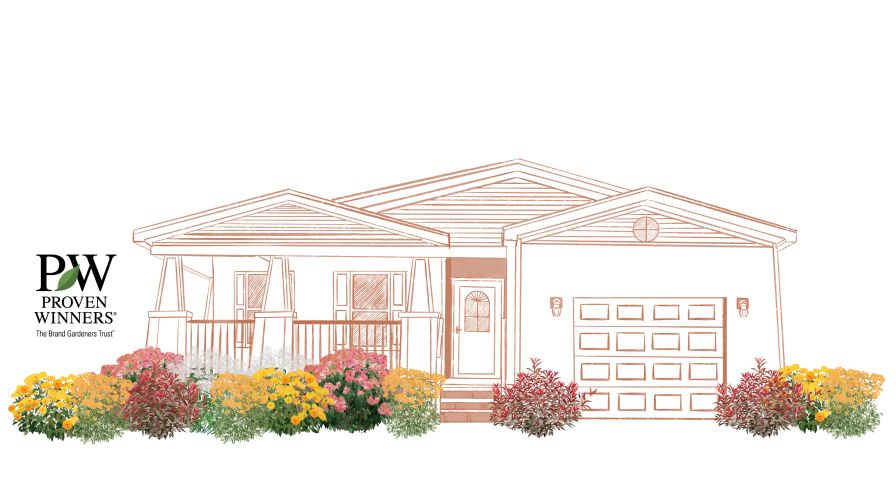 Colorful flowers surrounding a sketch of a house for the Proven Winners EZ Scapes landscaping program.