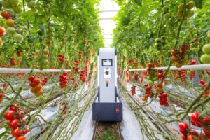 HarvAI is a greenhouse harvesting robot specifically designed for the tomato industry.