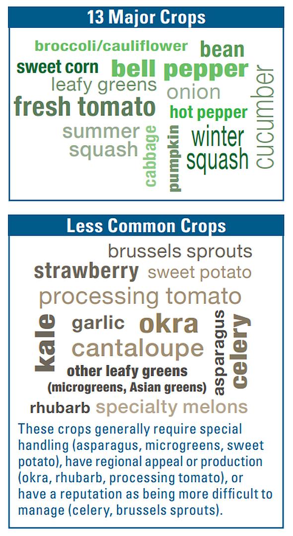 Most and least common crops graphic for 2025 American Vegetable Grower (AVG) State of the Industry (SOI) Survey.