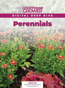Greenhouse Grower August 2025 Digital Deep Dive cover on Perennials.