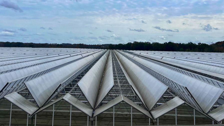 A clean, empty greenhouse between production cycles. Transition time is a critical and often overlooked phase for sanitation, recalibration, and system health.