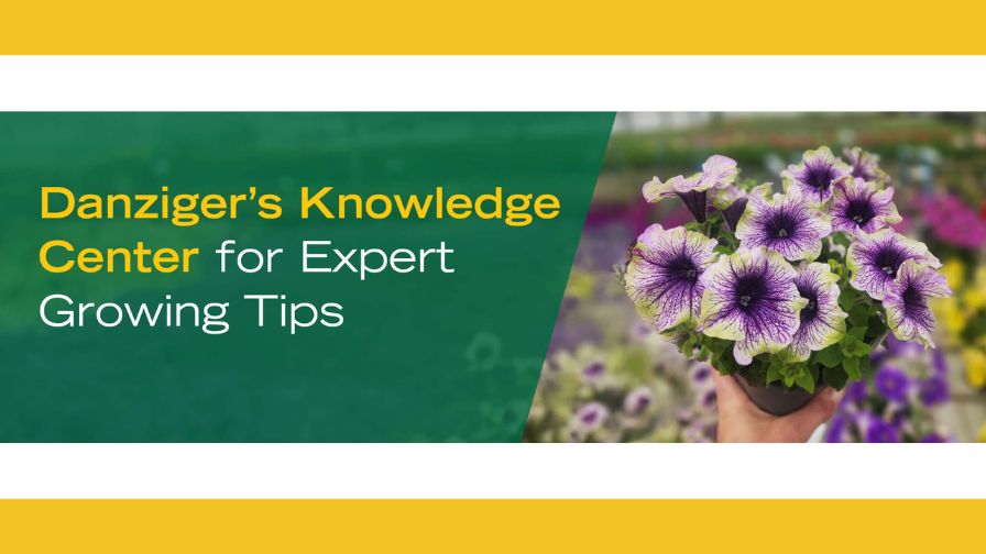 Danziger's Knowledge Center for Expert Growing Tips graphic banner