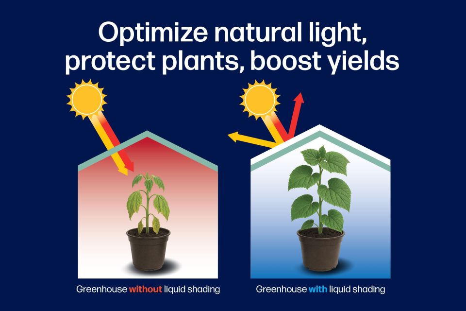 Lumiforte ReduSystem