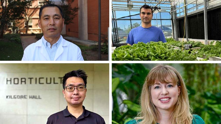 Student and faculty recognized as the American Society of Horticultural Science 2025 Annual Conference (Clockwise from top left) Kedong Da, Ph.D., Moein Moosavi, Amanda Solliday, and Rick Shih.