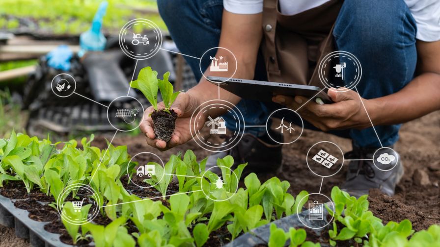 Agriculture technology farmer woman holding tablet or tablet technology to research about agriculture problems analysis data and visual icon.