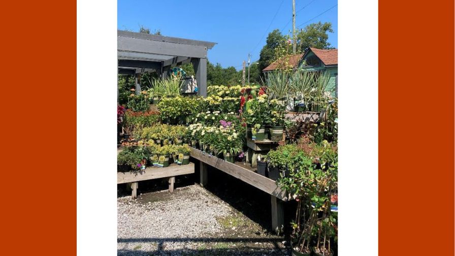 CHASING Cleaner garden shopping editorial image
