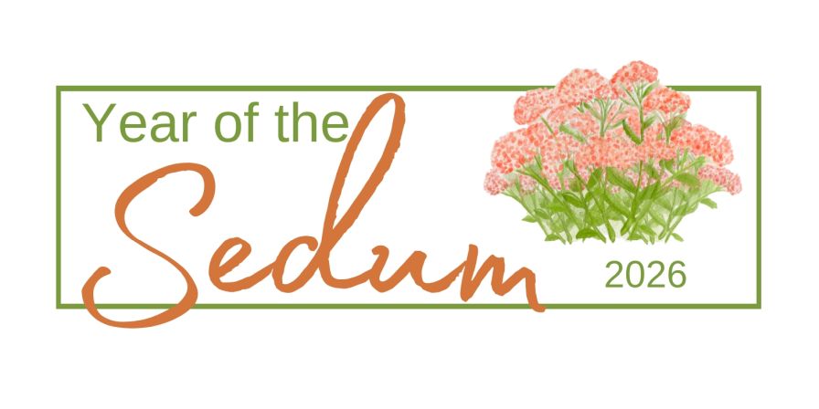 2026 "Year of the" Sedum. 
