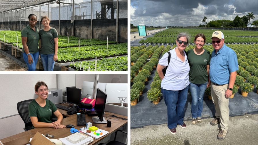 (Clockwise from top left) AFE Program Manager Candice Musgrave with Alana Wood at Pure Beauty Farms; Dr. Kim Williams, Wood, and Tim Kepner of Pure Beauty Farms; Wood's office space at Pure Beauty Farms during her internship.