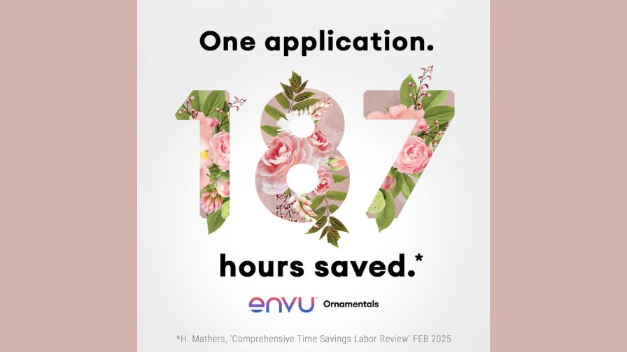 Graphic for Marengo herbicide use in the labor review related to manual weed pulling and rotational programs.