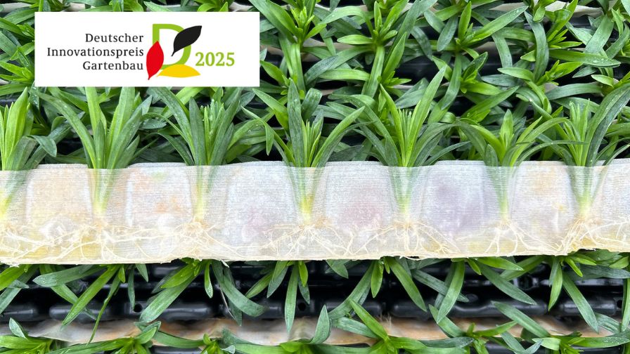 RCS 2.0, the winner of the German Horticulture Innovation Award 2025.