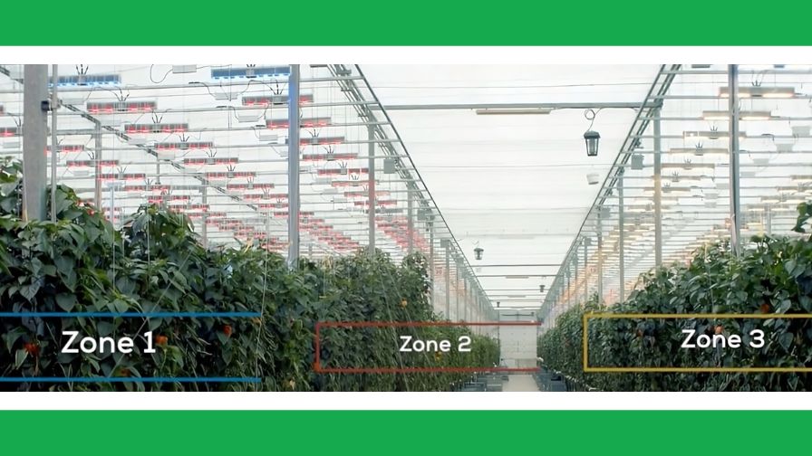 Multi-zone greenhouse lighting using advanced dynamic LED solutions.