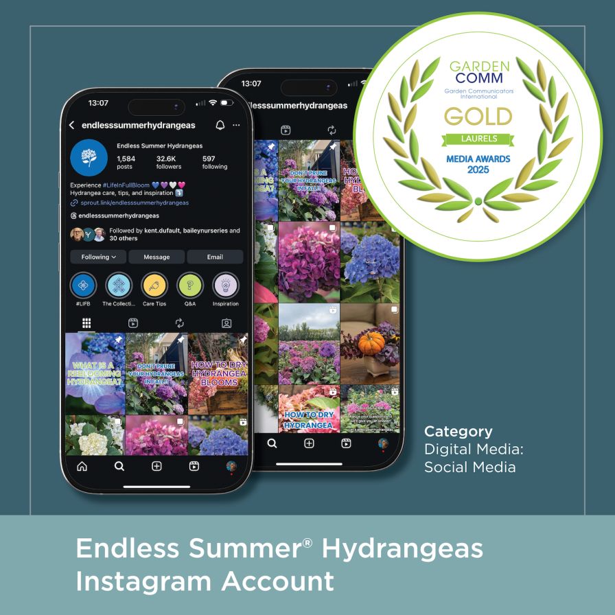 Gold Medal Media Laurel Award for Endless Summer® Hydrangeas Instagram account.