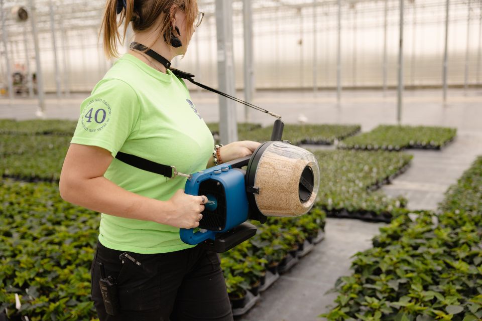 Under Brad Meyer’s leadership, the use and application of beneficial insects have become a key part of Bachman’s IPM program.