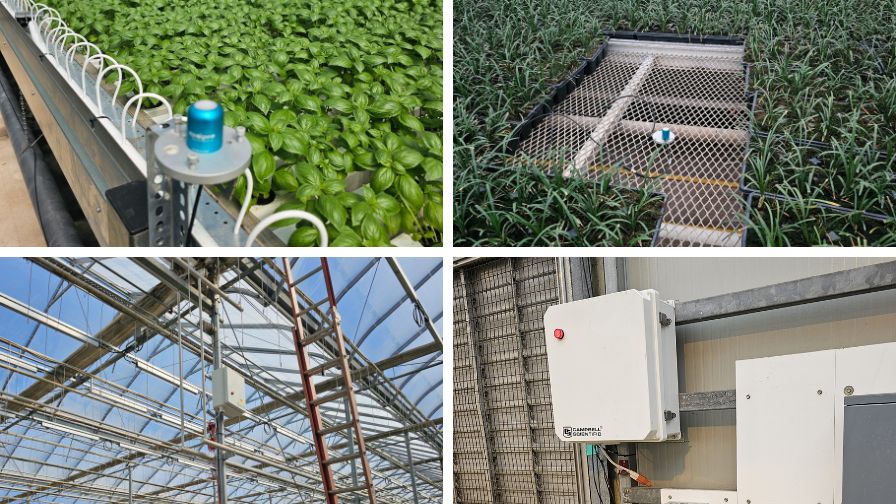 (Clockwise from top left) Lighting controls in action in Operations A, B, C, and D.