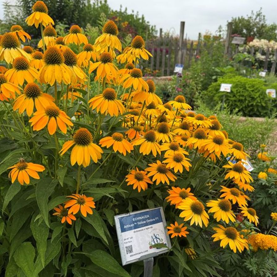Penn State Extension Lancaster County Master Gardeners' Idea Gardens.