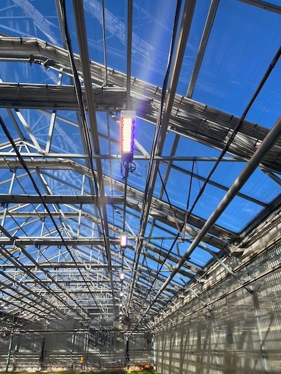 Pleasant View Gardens' goal with dynamic lighting was to manage spectrums and add more light during dark months.