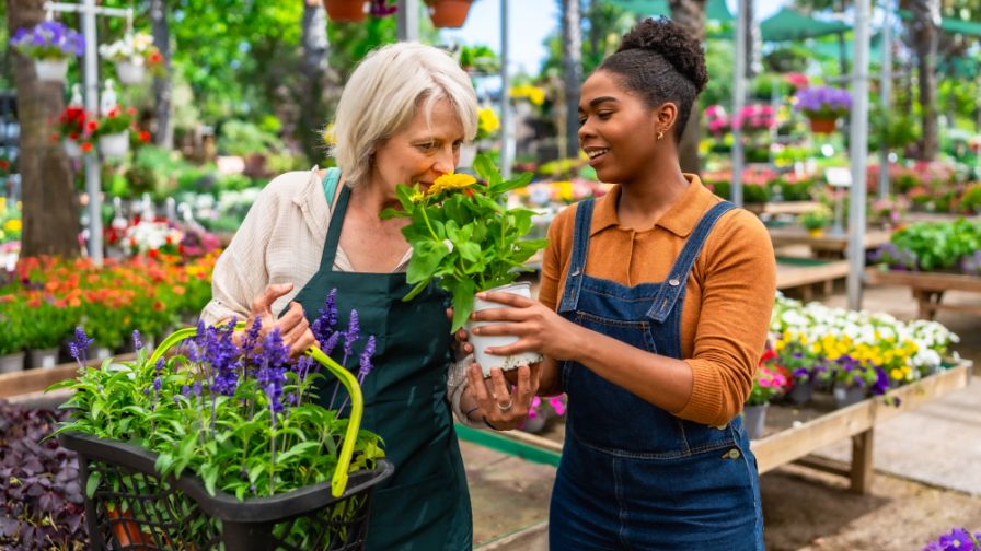 Senior woman smelling flower offered by young gardener in greenhouse, surrounded by colorful plants.