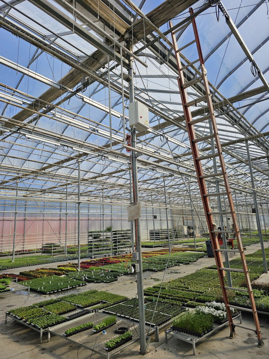 With LASSI, Greenhouse Grower D received more precise light measurements.