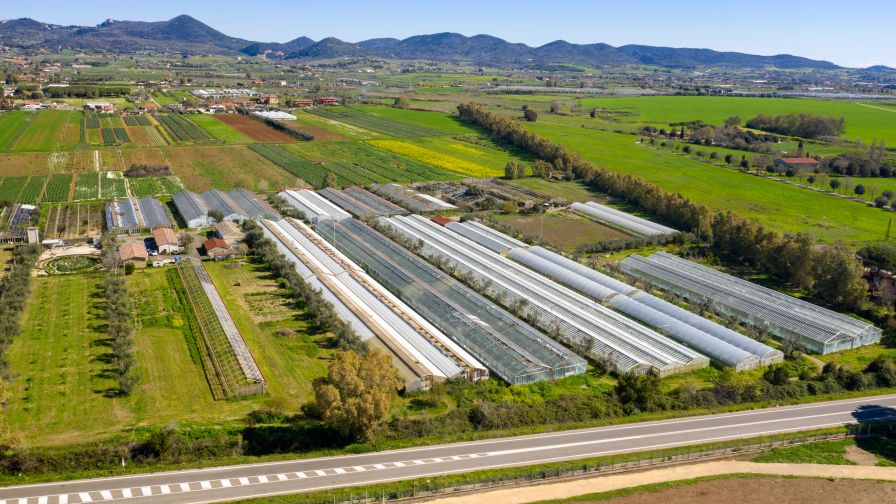 Aerial view of the horticulture greenhouses of a large farm.