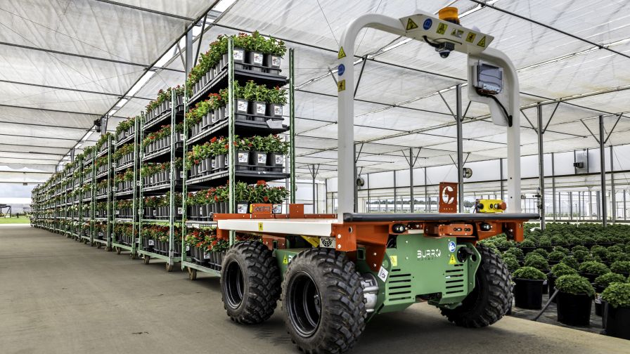 Burros automate many labor-intensive greenhouse tasks, including moving plants from propagation to shipping.