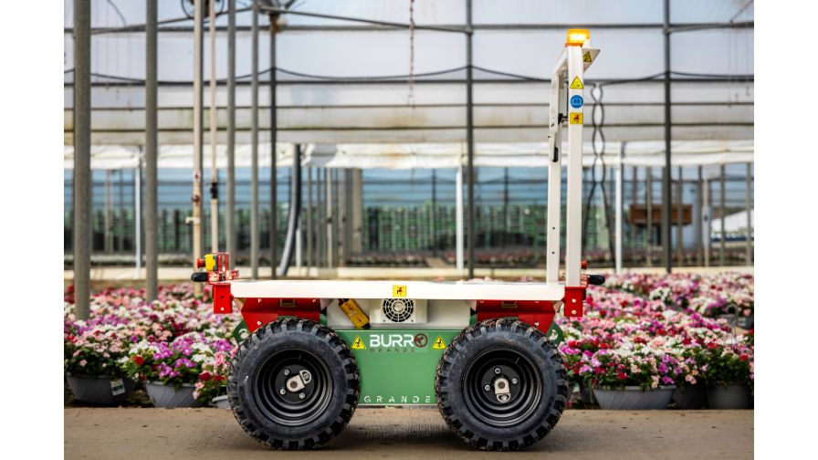 Burros help growers work more efficiently while laying the foundation for automation where it’s needed most.