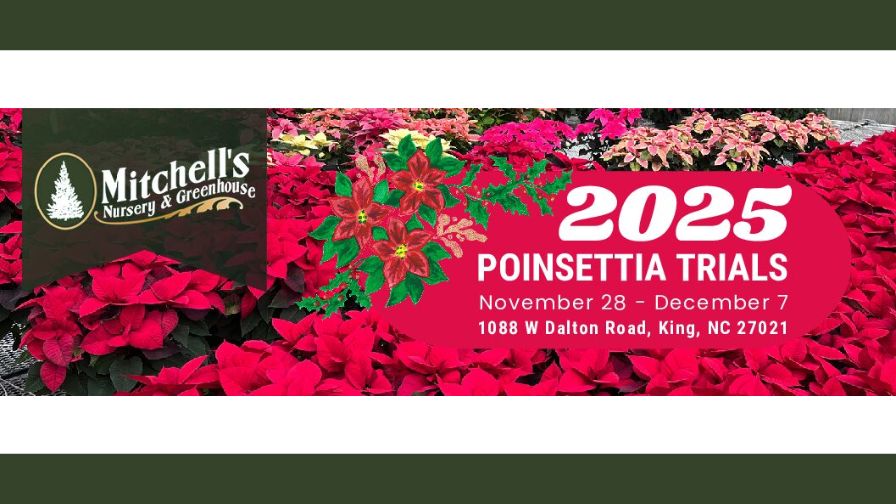Graphic for the 2025 Poinsettia Trials at Mitchell’s Nursery and Greenhouse.