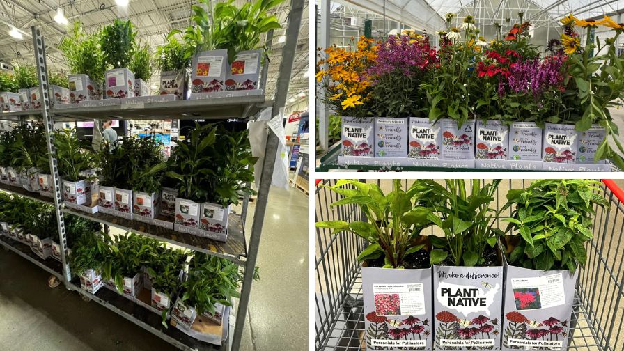 From greenhouse to retail, sustainable packaging initiatives are beginning to show up on store shelves.