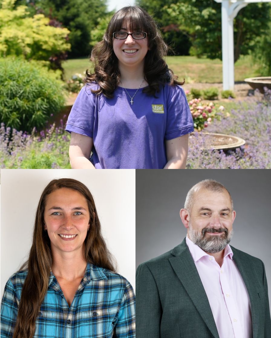 (Clockwise from top) Kristen Pullen, Simon Traskey, and Mary Woolman of the Star Roses woody ornamentals team.