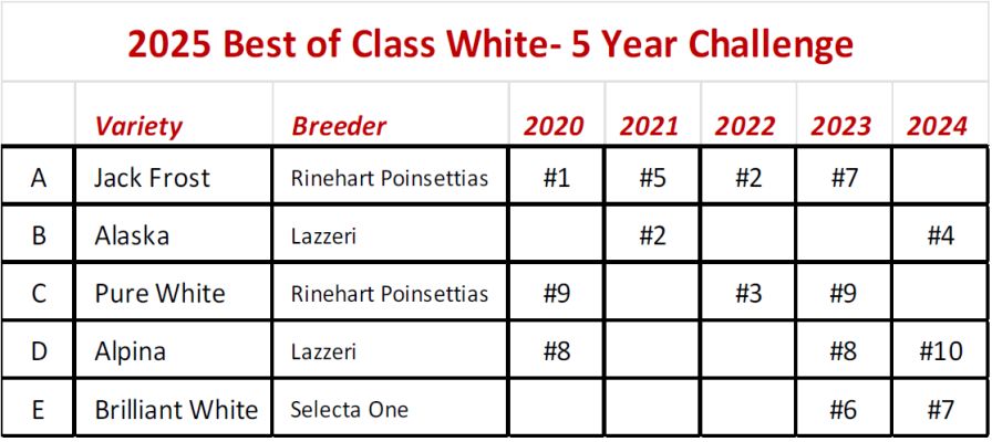 2025 Best of Class White – 5 Year Challenge.