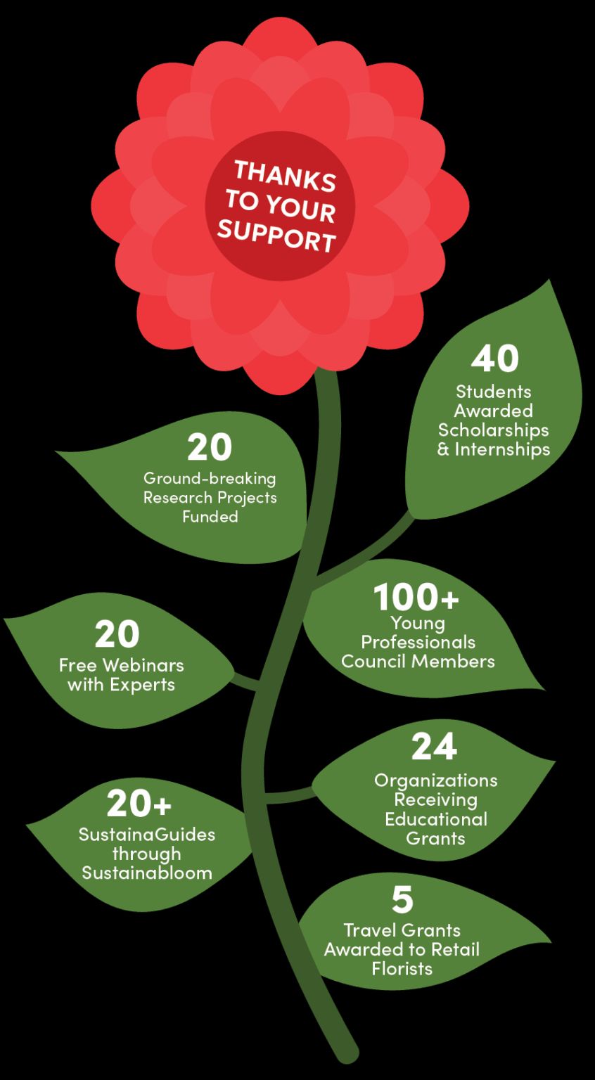 2025 AFE highlights graphic.