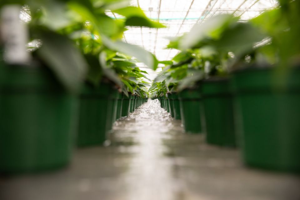 BioTherm Flood Floors provide uniform subirrigation with remarkable efficiency. Water is delivered evenly across the growing surface, reducing labor while promoting healthier, more resilient root systems.