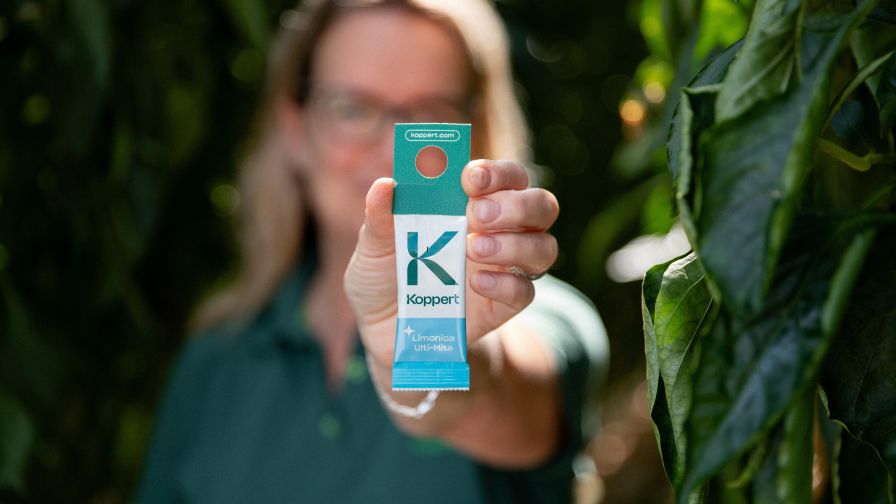 A Koppert employee showcasing a package of Limonica Ulti-Mite.