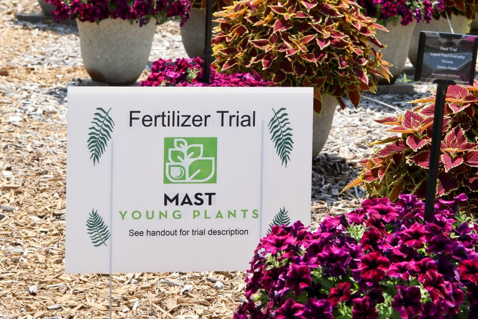 Mast Young Plants Fertilizer Trial.