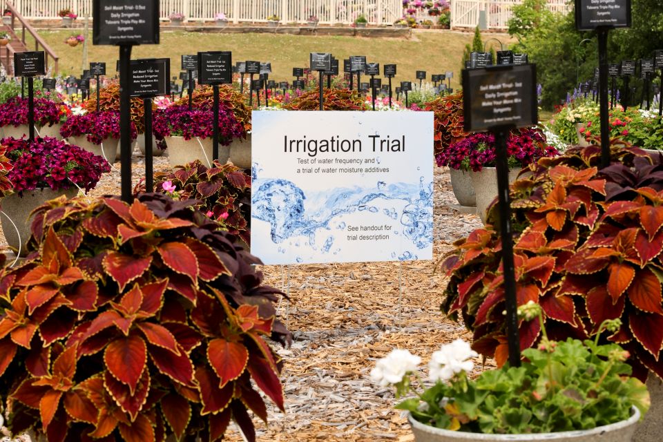 Mast Young Plants Irrigation Trial.