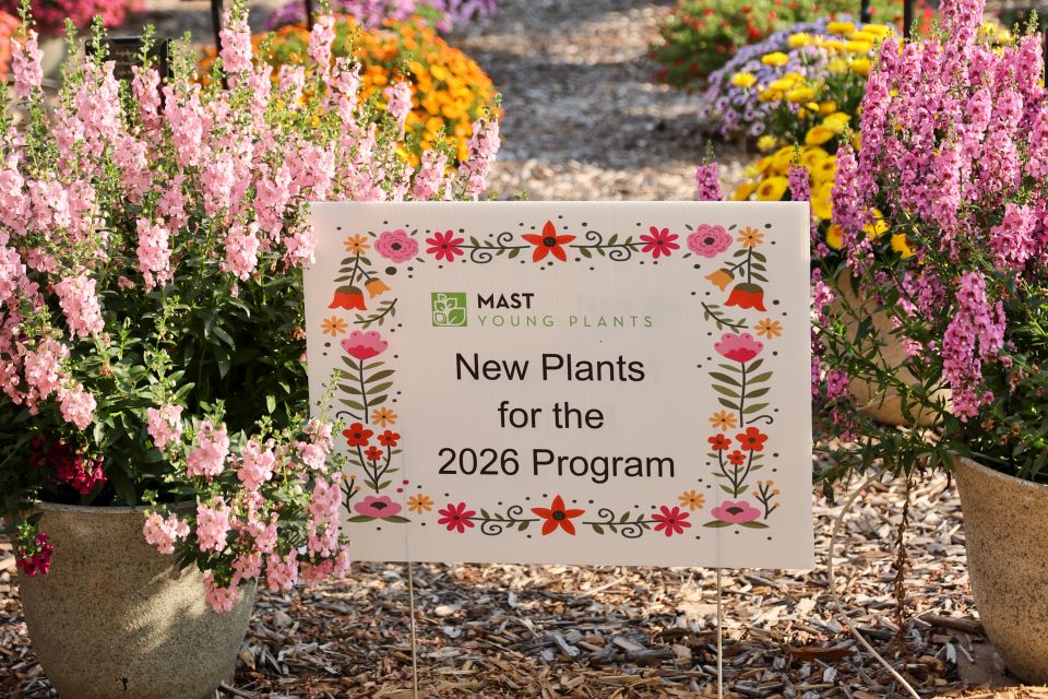 Mast Young Plants New Plants for the 2026 Program.