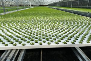 FGM's Moving Gutter Systems help maximize cultivation areas while reducing energy and labor costs and are designed to handle high-temperature heat pipes for performance and longevity.