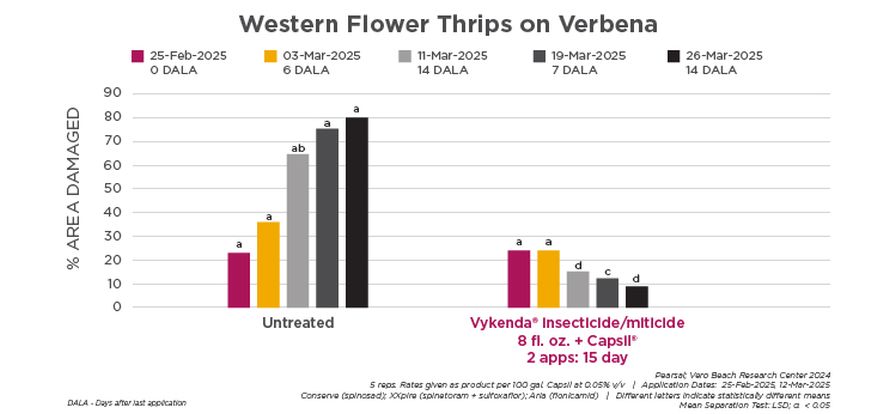 Vykenda insecticide/miticide data testing on thrips on verbena.