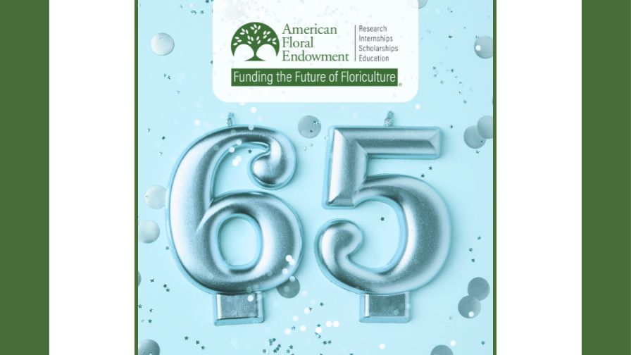 A graphic celebrating 65 years of the American Floral Endowment.