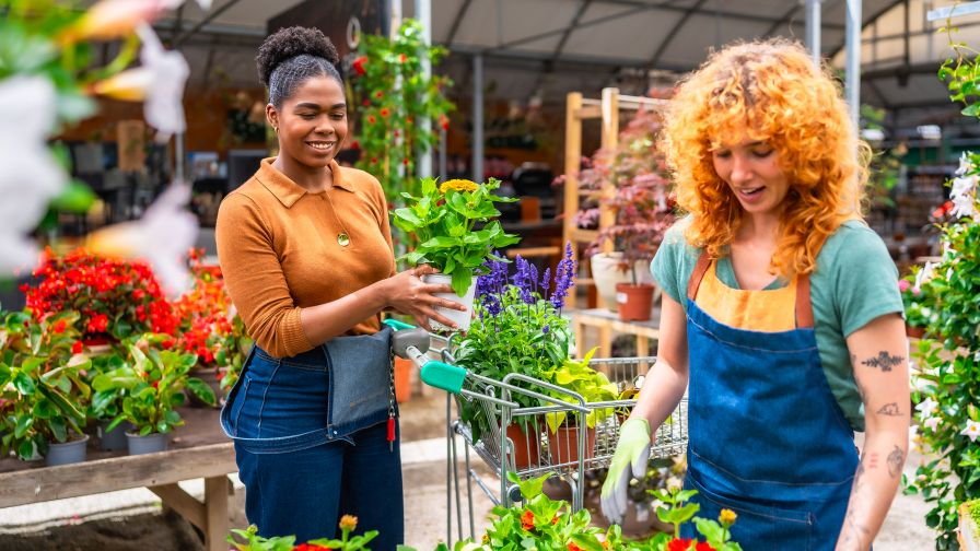 Garden center workers taking care of plants in greenhouse