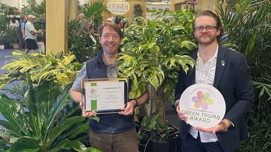 Green Thumb Award winner Pothos Yellow Sunrise.