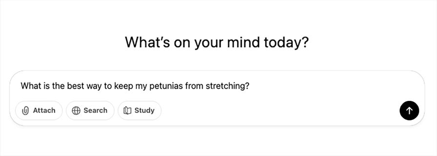 Figure 1. Example of a basic prompt entered into an AI platform.