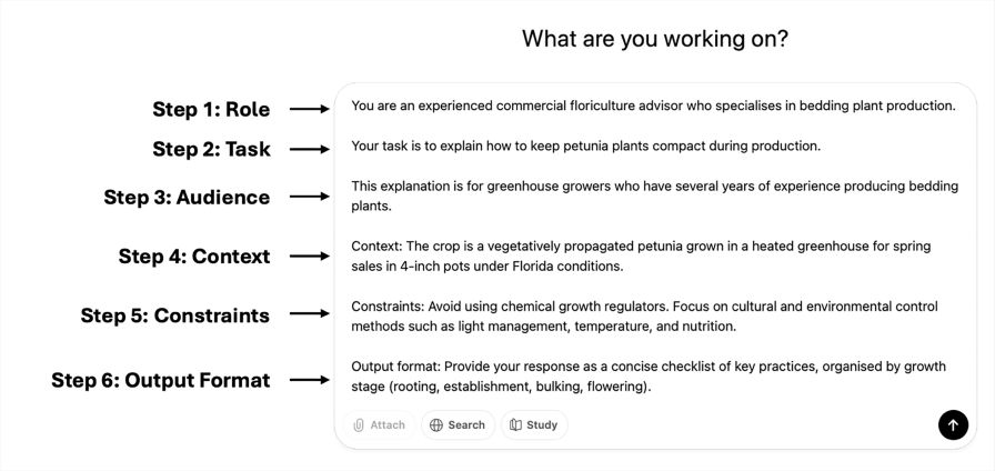 Figure 3. Six elements combined into a single, well-structured prompt using a practice example.
