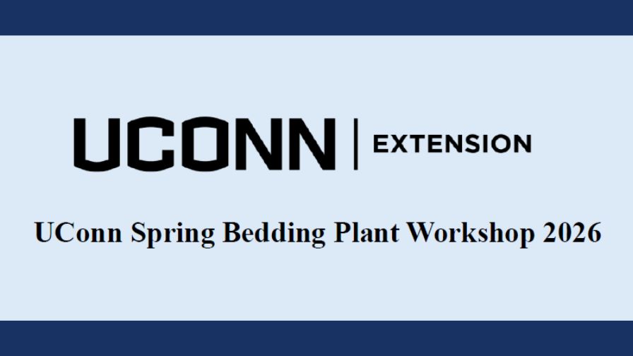 The 2026 UConn Spring Bedding Plant Workshop.