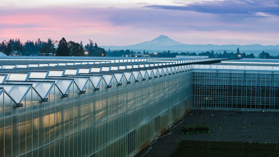 Smith Gardens web photo