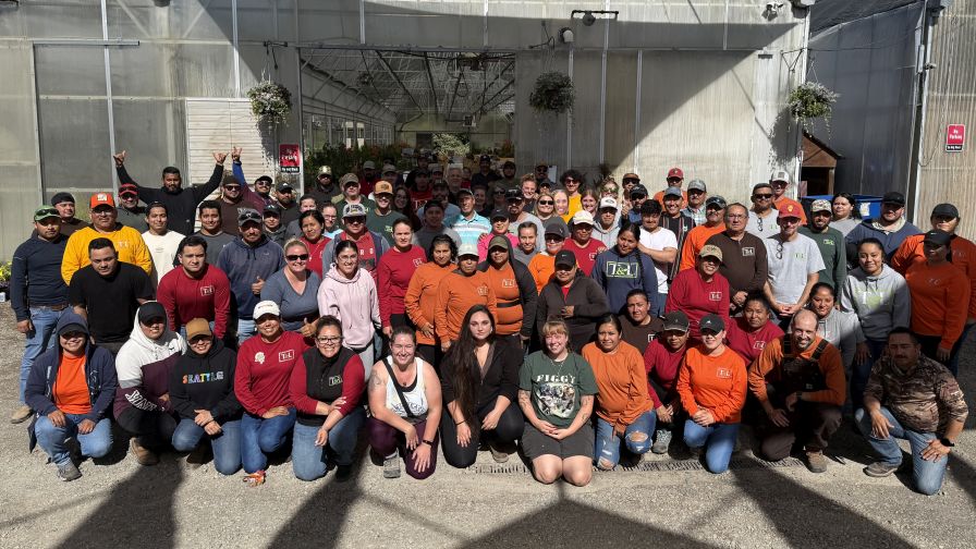 T&L Nursery relies on the H-2A program to support its spring operations.