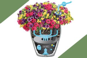 AquaPots® are self-watering planters designed to provides plants with continuous access to fertilizer-infused water.