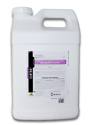 Cintro™ Insecticidal Soap.