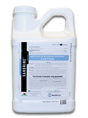 Sandrine™ Copper Soap.