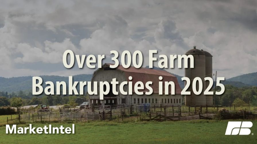 A MarketIntel report on Chapter 12 farm bankruptcies in 2025.